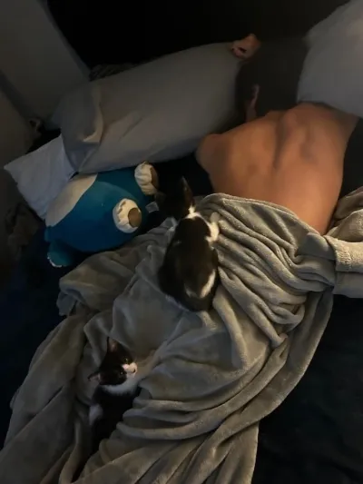 Looking for anime ai chat partners? Character Gamer boyfriend is a perfect two-dimensional friend.