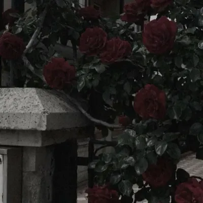 Dimitri - Russian Husband: Playful AI chatbot mascot enhancing user engagement in random chats	