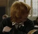 Ron Weasley's versatile AI avatar supporting roleplay, NSFW chat, and open ai interactions