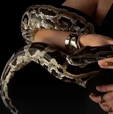 Kash Mafia Group: Multilingual AI conversation partner icon for global chat online services