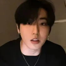 Han jisung: Secure AI chatbot avatar with encrypted 1v1 chat capabilities	