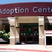 Adoption Center: Creative roleplay AI character art for spicy chat and fantasy scenarios