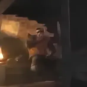 Explore new worlds with Ganz, your interactive AI chat character.